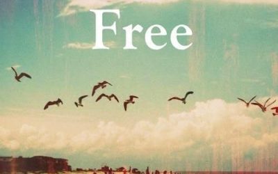 Freedom: Are you single by choice?